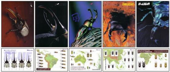 ���ξ��ʤΤ���ʸ�ϡ��ɥ륯������Ź�ˤƾ���ޤ����ӡ������������ߤ�