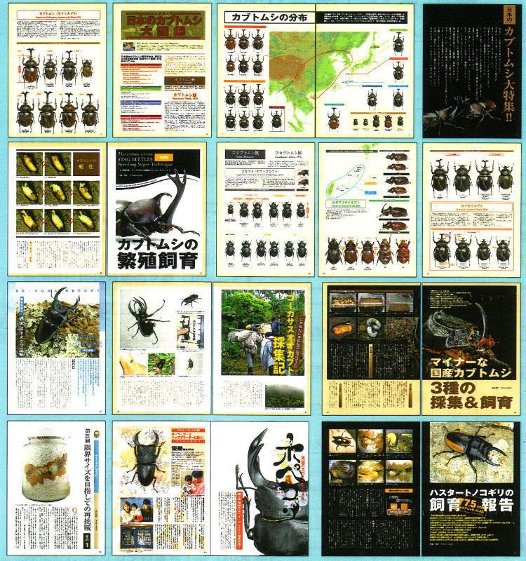 ���ξ��ʤΤ���ʸ�ϡ��ɥ륯������Ź�ˤƾ���ޤ����£š��ˣգף��ʥӡ��������NO.22