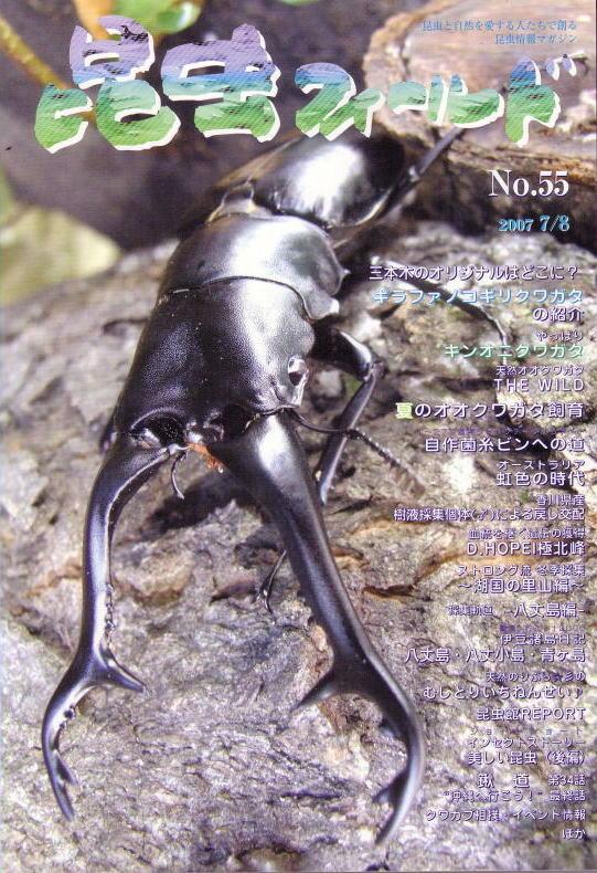 ���ξ��ʤΤ���ʸ�ϡ��ɥ륯������Ź�ˤƾ���ޤ�������ե������No.55