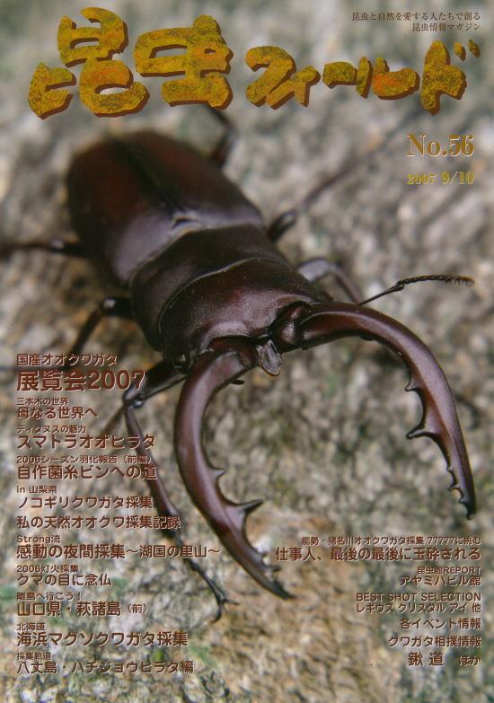 ���ξ��ʤΤ���ʸ�ϡ��ɥ륯������Ź�ˤƾ���ޤ�������ե������No.56