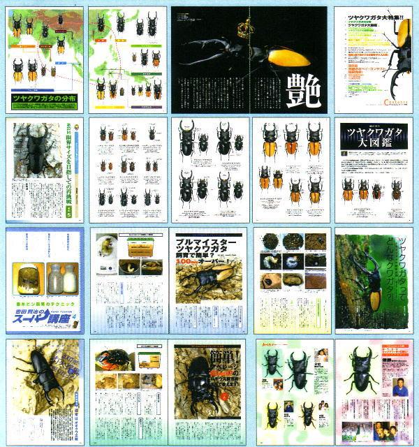 ���ξ��ʤΤ���ʸ�ϡ��ɥ륯������Ź�ˤƾ���ޤ����£š��ˣգף��ʥӡ��������NO.26