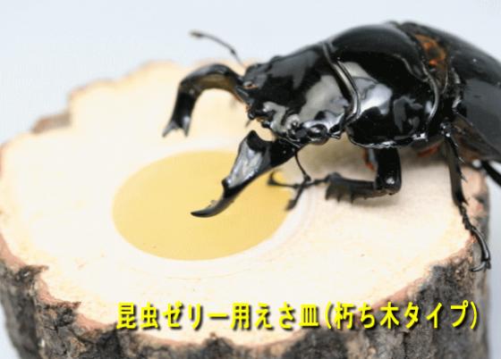 ���ξ��ʤΤ���ʸ�ϡ��ɥ륯������Ź�ˤƾ���ޤ�������ڥ����ף��꣱���礨����