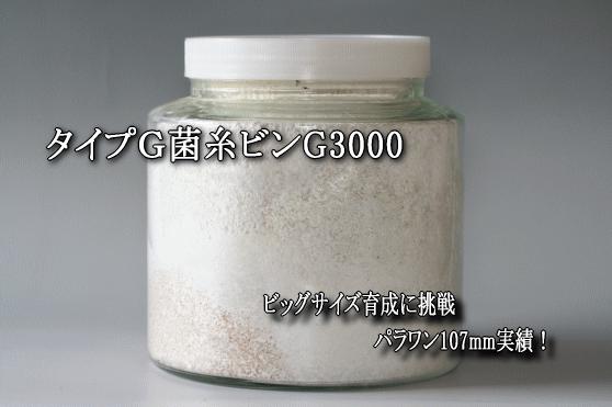 �����ףǶݻ���(�ݻ�ӥ�)G3000