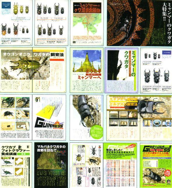 ���ξ��ʤΤ���ʸ�ϡ��ɥ륯������Ź�ˤƾ���ޤ����£š��ˣգף��ʥӡ��������NO.30