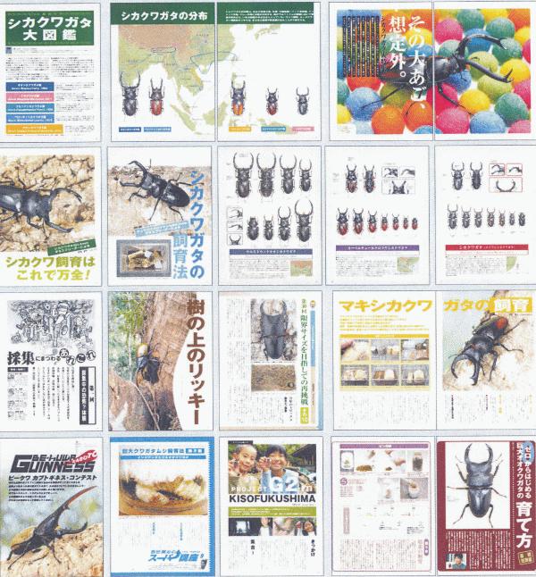 ���ξ��ʤΤ���ʸ�ϡ��ɥ륯������Ź�ˤƾ���ޤ����£š��ˣգף��ʥӡ��������NO.31