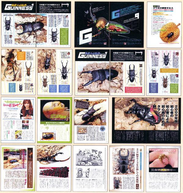 ���ξ��ʤΤ���ʸ�ϡ��ɥ륯������Ź�ˤƾ���ޤ����£š��ˣգף��ʥӡ��������NO.33