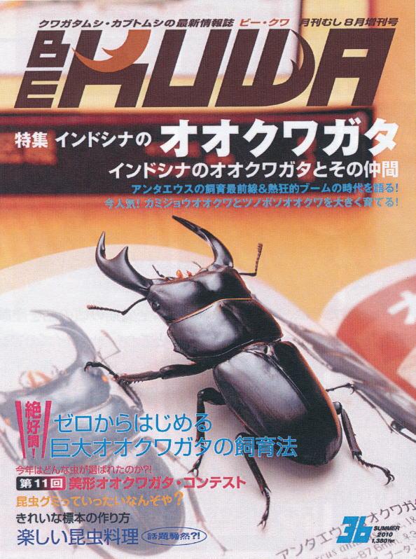 ���ξ��ʤΤ���ʸ�ϡ��ɥ륯������Ź�ˤƾ���ޤ����£š��ˣգף��ʥӡ��������NO.36